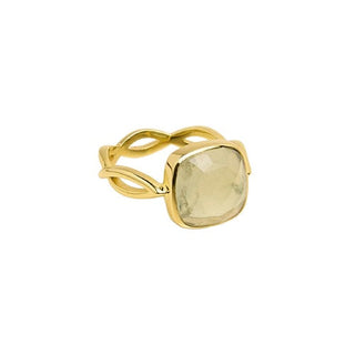 Braid Ring Prinite