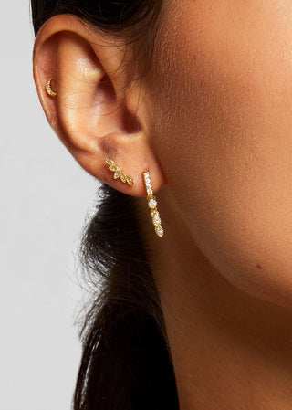 Piercing - Five Leafs