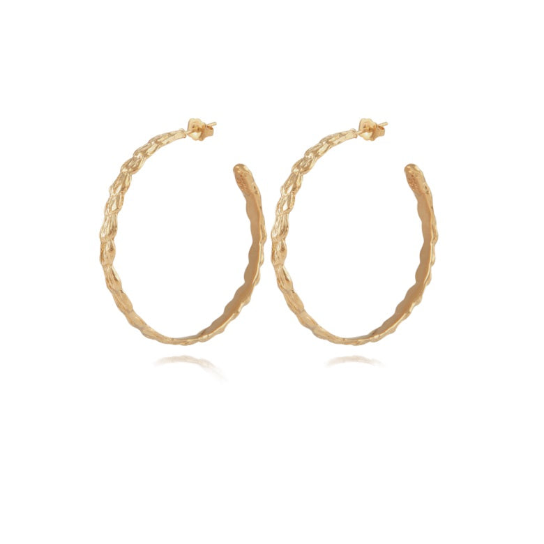 Liane hoop earrings gold
