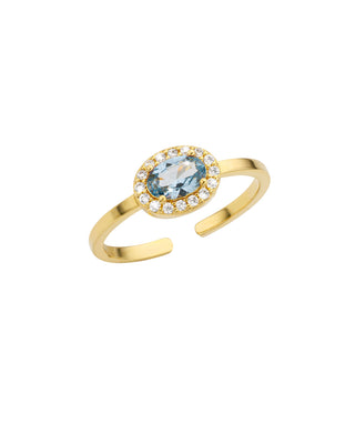 BAGUE - BLUE DYNASTY
