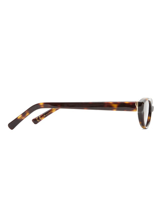 The Petra - Crystal Tortoise