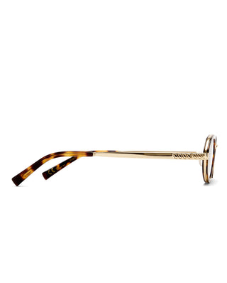 The Sage - Crystal Tortoise