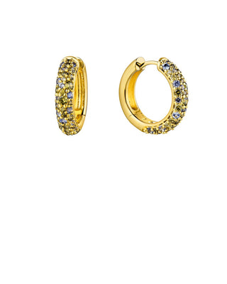 Earrings - Grey Champagne