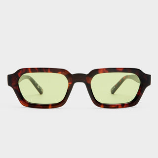 Tension + | Tortoise