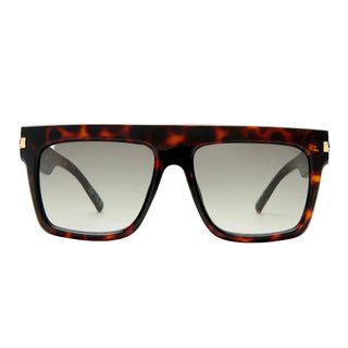 Offside + | Tortoise