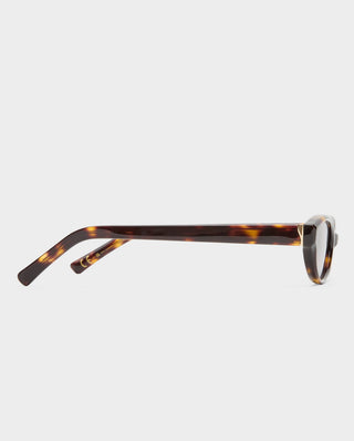 The Petra - Crystal Tortoise