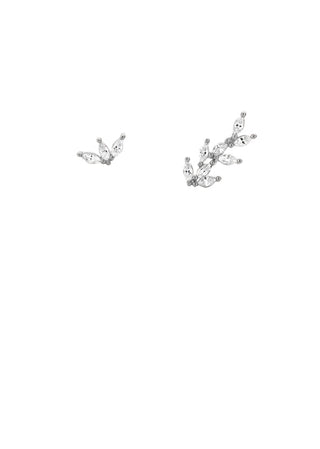 Earrings - Sweetbay Magnolia