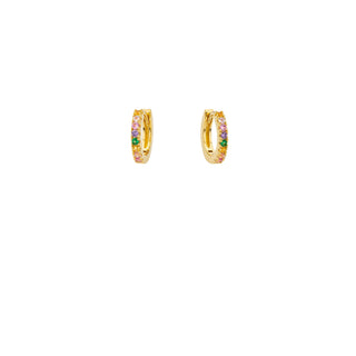 Earrings - Rainbow Delhi