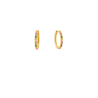 Earrings - Rainbow Lovely Delhi