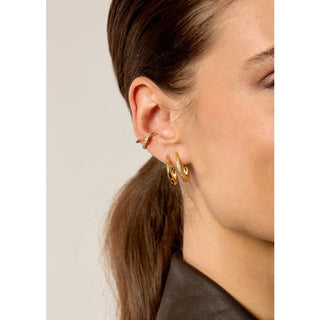 EARRINGS - STRONG Or