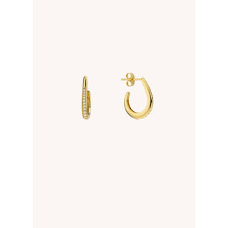 EARRINGS - SHINY STRONG Or