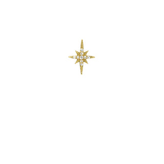 Earrings - Diwali