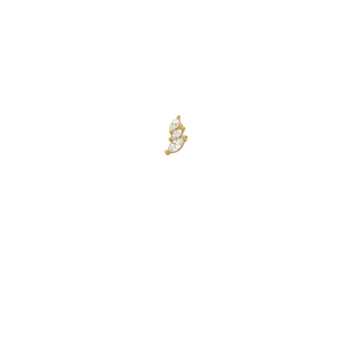 Piercing - Little Leaf